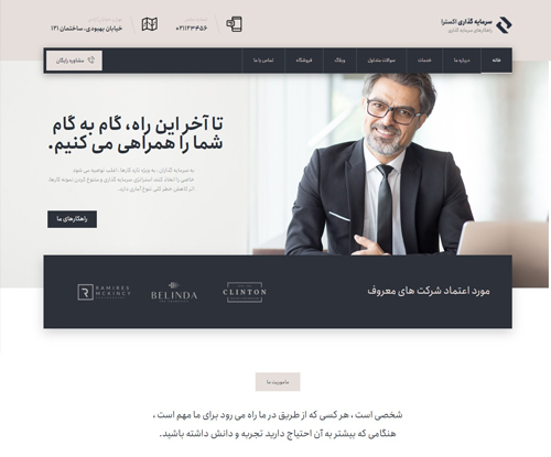 سرمایه گذاری